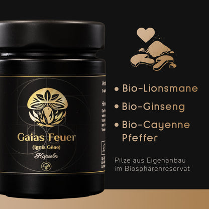Gaias Feuer