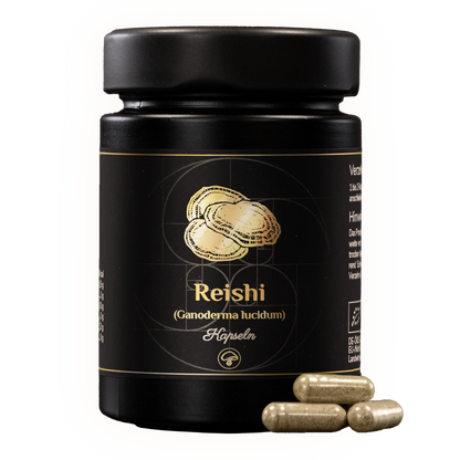 Reishi Kapseln